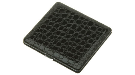 купите Портсигар S.Quire CP11A00-12 в Санкт-Петербурге СПБ